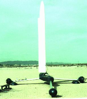 iron duck front view